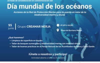 Nerja conmemora el Día Mundial de los Océanos y del Medio Ambiente con limpieza en kayak y talleres en la playa de Burriana