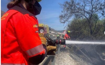 Bomberos de Vélez Málaga y Nerja intervienen en un incendio en Frigiliana