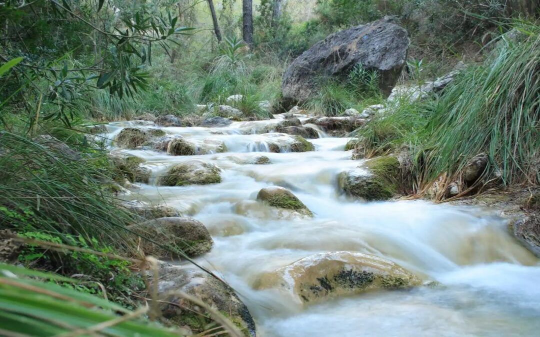 El río Chíllar seguirá cerrado este verano: Nerja pierde otro año su paraíso natural