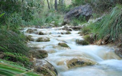 El río Chíllar seguirá cerrado este verano: Nerja pierde otro año su paraíso natural
