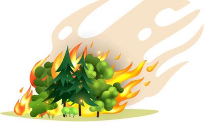 Recordatorio de medidas de prevención de incendios forestales en Nerja