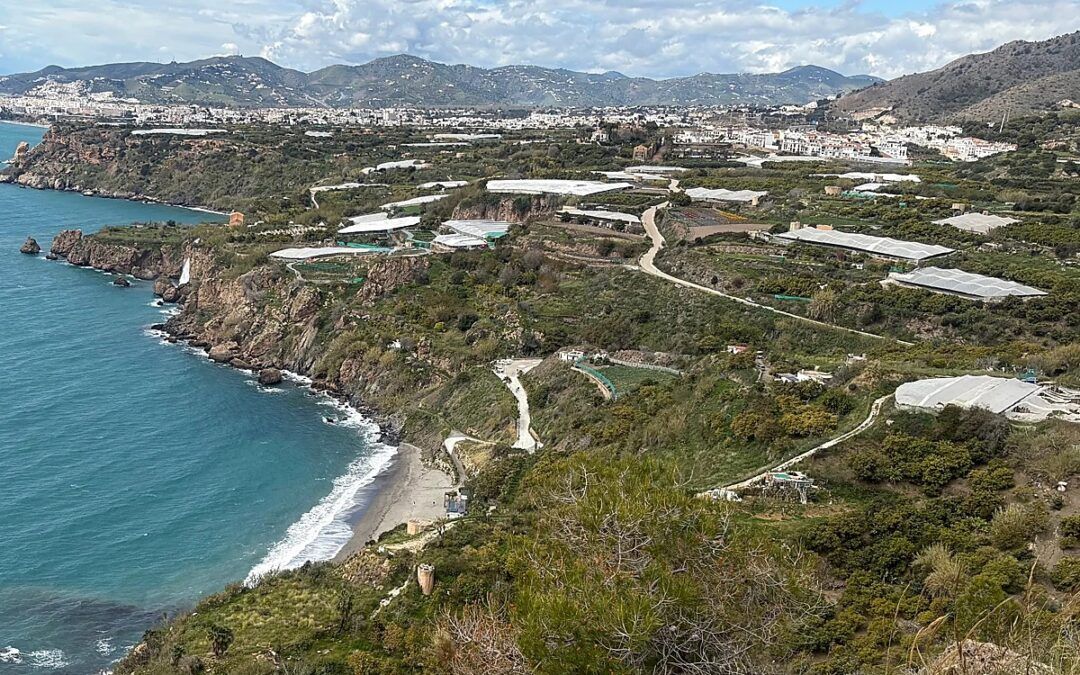 Larios notifica la extinción de cerca de 400 contratos agrícolas en la vega de Maro