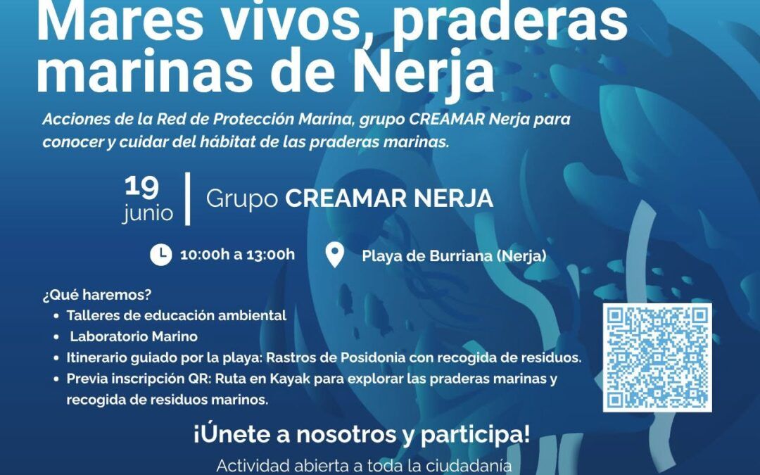 Burriana acogerá una jornada para descubrir y proteger las praderas marinas de Nerja