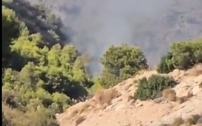 Declarado un incendio forestal en el paraje Arroyo de la Miel de Nerja