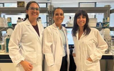 Investigadores descubren en la Cueva de Nerja una nueva pista sobre el origen de la dolomita
